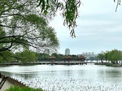 -长春市南湖公园