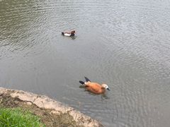 -呀诺达热带雨林