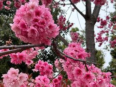 -洛龙公园