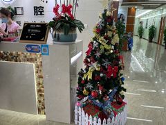 -茂菊口腔连锁(浦东南路店)