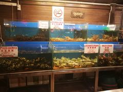 -真浪花园海鲜餐馆