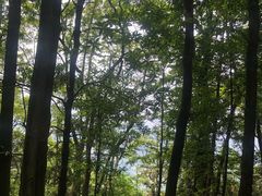-广州市帽峰山景区