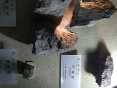 -龙虎山世界地质公园博物馆