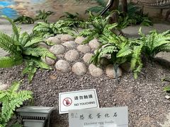 -延庆地质公园博物馆