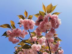 -洋湖国家湿地公园