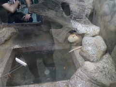 -福州罗源湾海洋世界旅游区