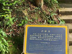 -普陀山风景区-佛顶山