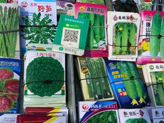 -李村大集