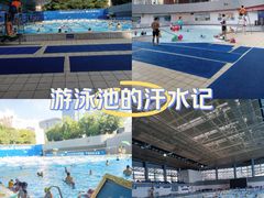 -南山文体中心-游泳馆