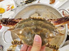-王潮活海鲜自助·蒸汽海鲜