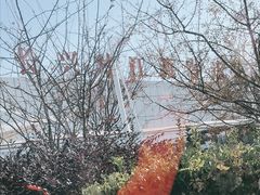 -长兴对江渡客运站