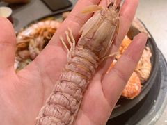 -乔哥铭洋海鲜自助(皇城恒隆广场店)