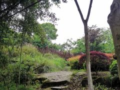 -大渡口区义渡公园