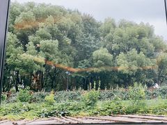 -潮府馆·非遗潮州菜·港式点心(世纪公园店)
