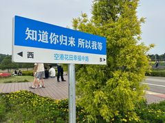 -空港花田景区
