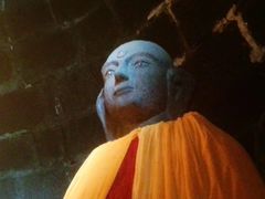 -白水寺森林公园