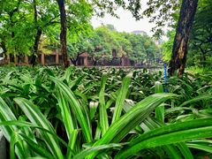 -佛山市第一中学