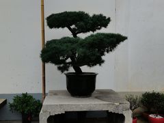 -龙华寺