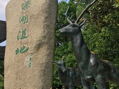 -溱湖国家湿地公园