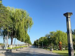 -伊犁河景区