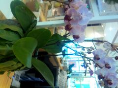 android_upload_pic-E·cafe(新梅广场店)