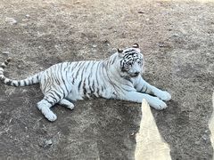 -济南野生动物世界