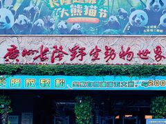 -广州长隆野生动物世界