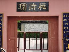 -桃花堤公园