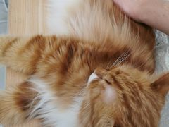 -平行世界·猫咖(首经贸店)