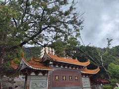 -深圳仙湖植物园