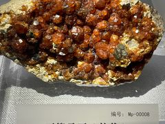 -湖南省地质博物馆