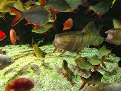 -太平洋海底世界