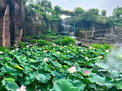 -广州莲花山旅游区