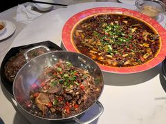 -新概念来凤鱼(璧山店)