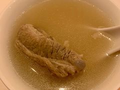 海底椰老火汤-利苑酒家(合景国际金融广场店)
