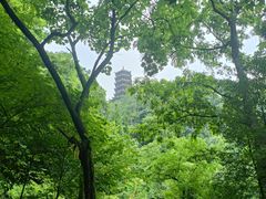 -都江堰景区