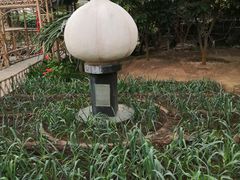 -兰陵国家农业公园