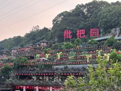 -枇杷园食为鲜火锅(南山店)