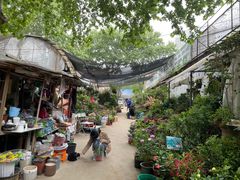 -金陵花卉交易市场