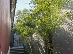 -故宫冰窖餐厅