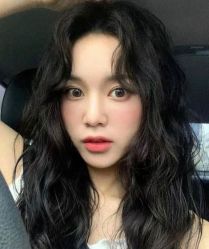 -时尚殿堂salon