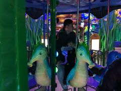 -青岛嘉年华主题乐园