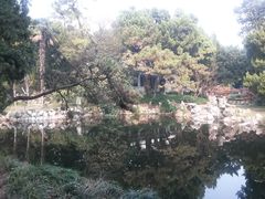 -叶家花园