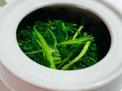 松茸炖西洋菜-苏浙总会(国金中心店)