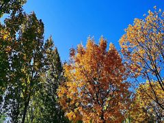 -永定河休闲森林公园