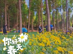 -捞渔河湿地公园