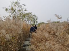 -绿堤公园