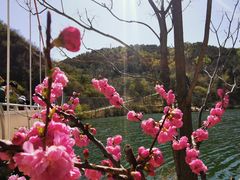 -何适山庄 ·可团建(水长城P2停车场店)