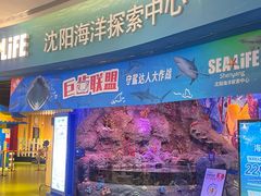-沈阳海洋探索中心