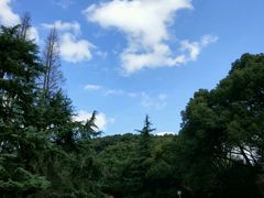 -上海佘山国家森林公园西佘山园